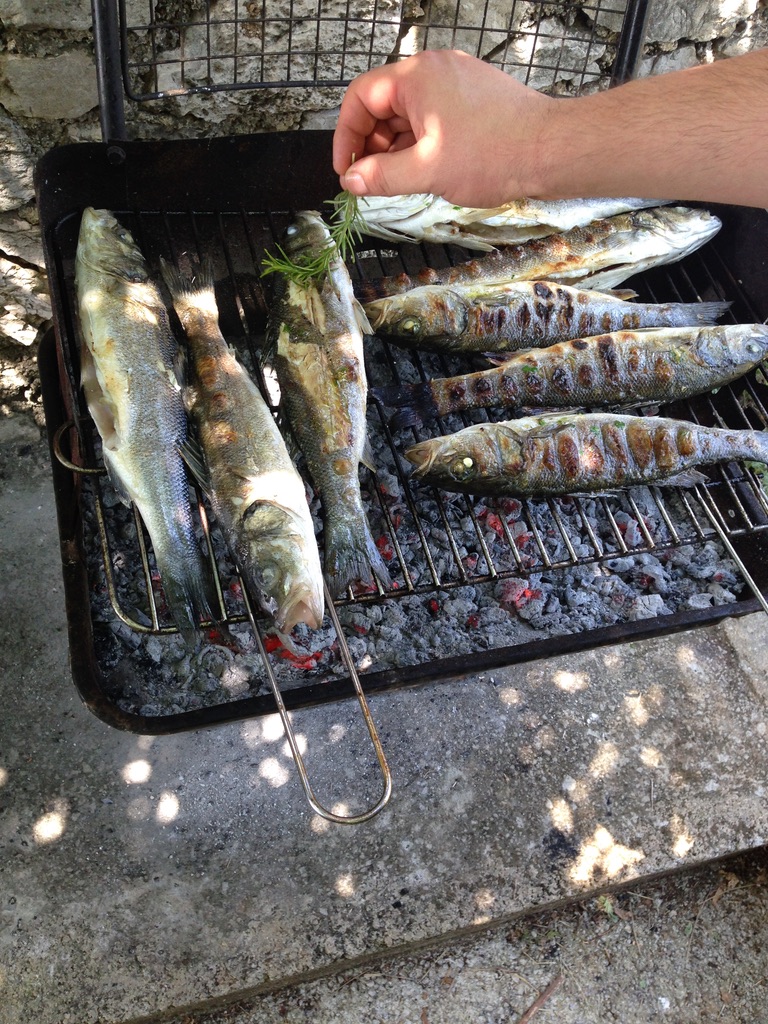 Fresh fish on the outdoor grill