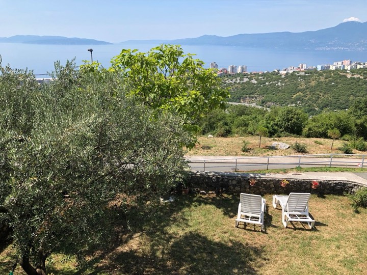 Green garden outlook with sea view